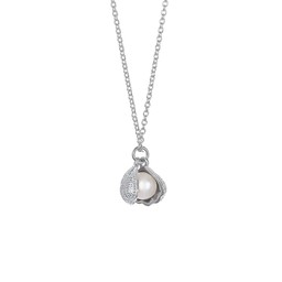 Halsband i äkta silver Halsband i äkta silver