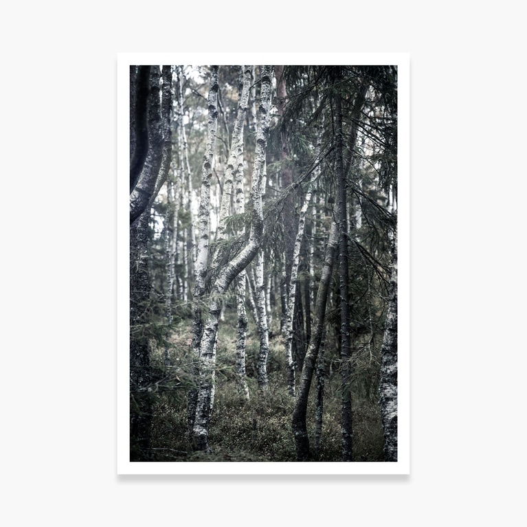Poster 70x100 "Bending Time" Poster 70x100 "Bending Time"