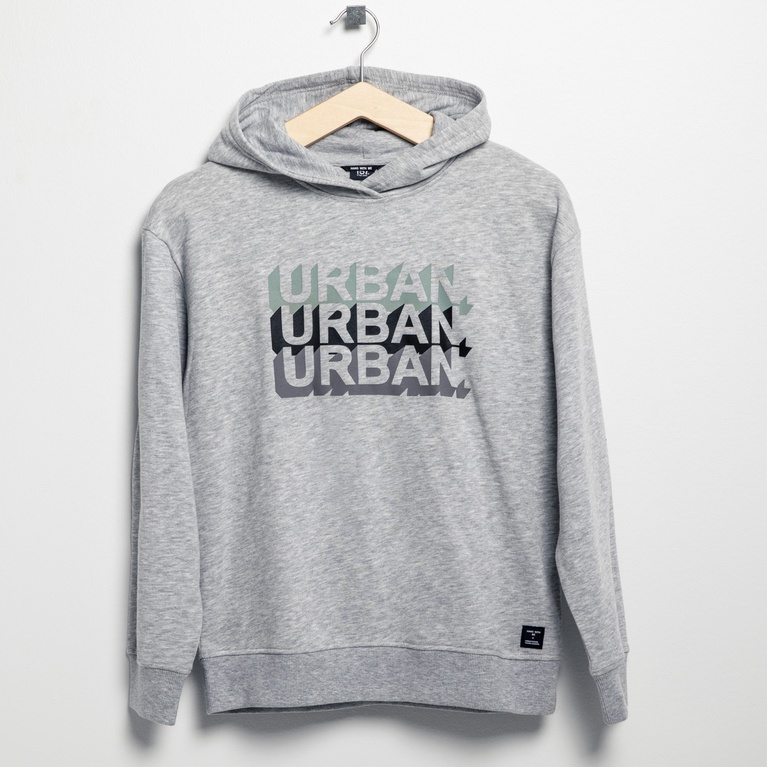 Hoodie "Logan"