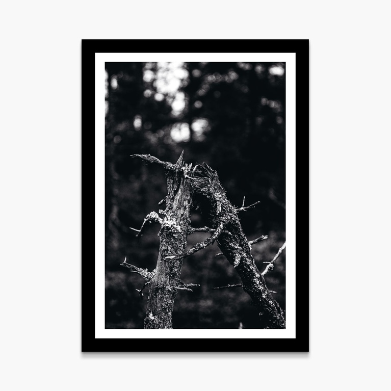Poster 50x70 "Break Away" Poster 50x70 "Break Away"