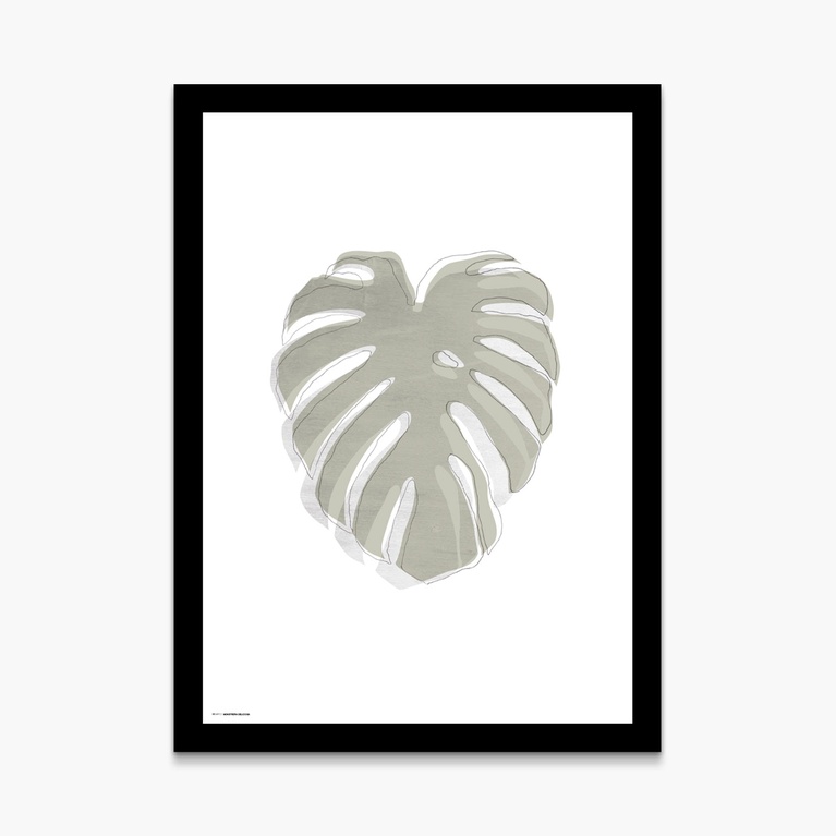 Poster 50x70 "Monstrera Deliciosa" Poster 50x70 "Monstrera Deliciosa"