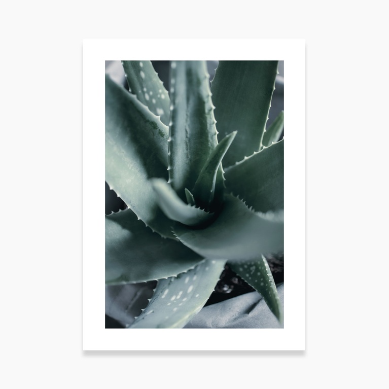 Poster 50x70 "Organic vortex" Poster 50x70 "Organic vortex"