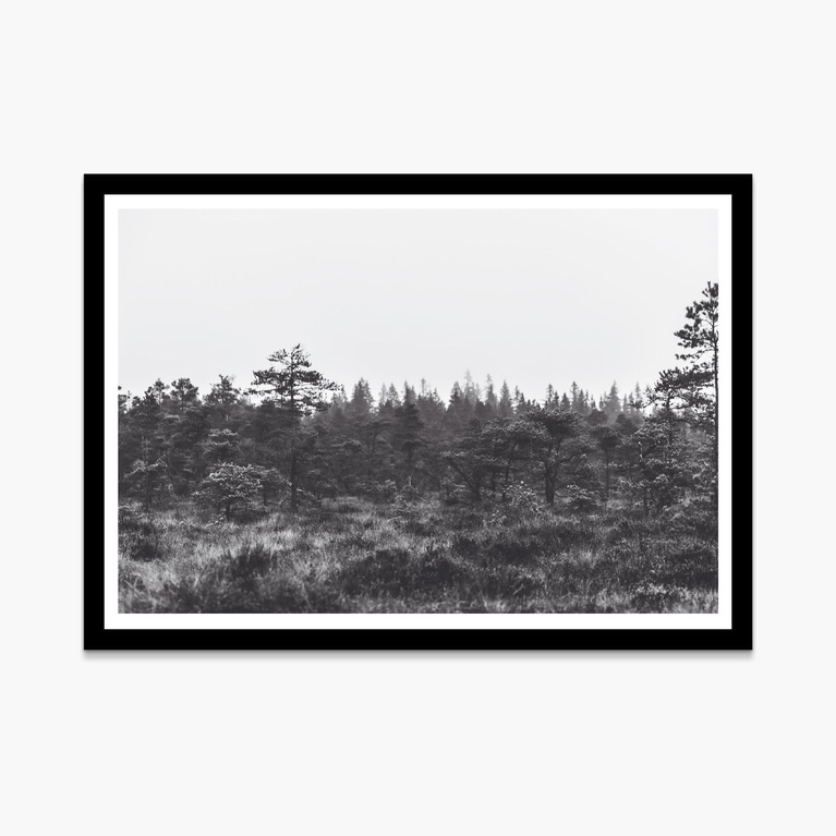Poster 100x70 "Straight from the woods" Poster 100x70 "Straight from the woods"