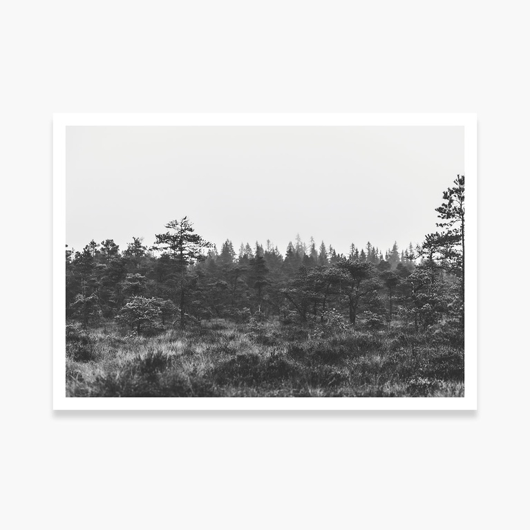 Poster 100x70 "Straight from the woods" Poster 100x70 "Straight from the woods"
