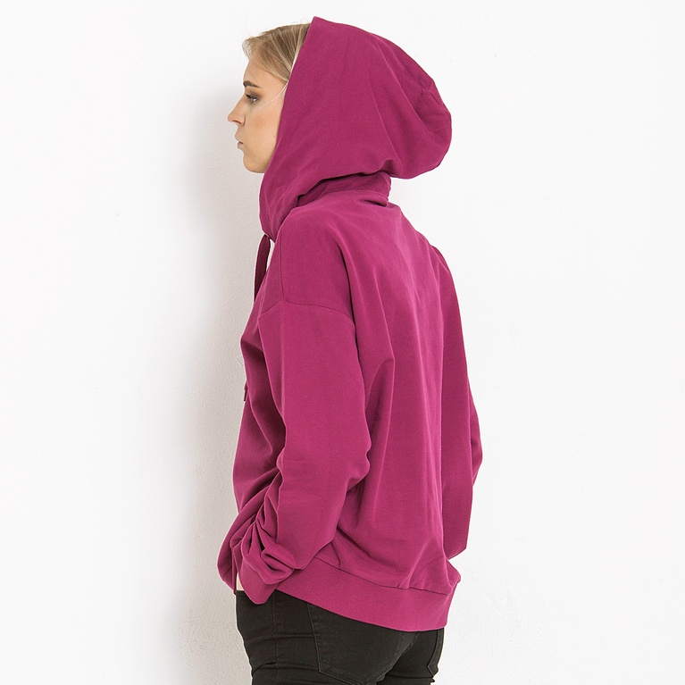 Hoodie "Van hood" Hoodie "Van hood"