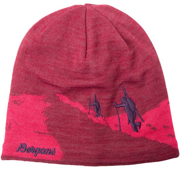 Ski Beanie Ski Beanie