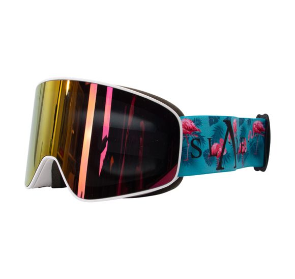 Freeride Magnet Goggles