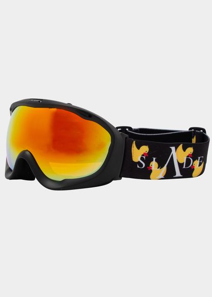Whistler Goggles