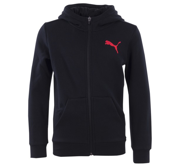 puma rebel up hoodie