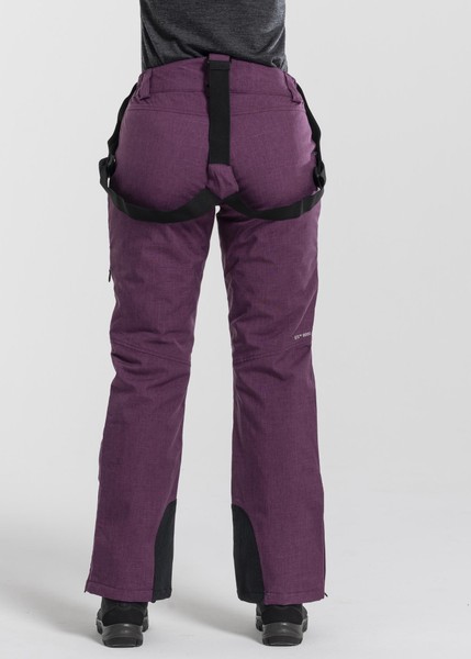 Softshell Ski Pants W Softshell Ski Pants W