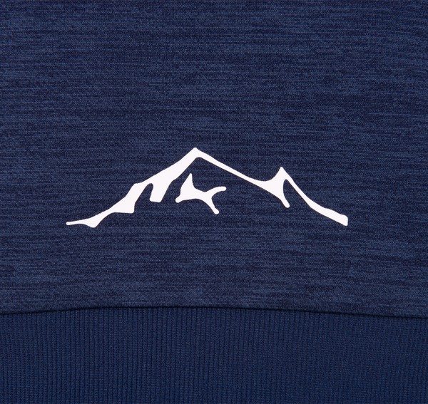 PRO Training Logo Fullzip PRO Training Logo Fullzip