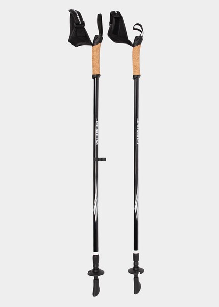 Walking Pole Walking Pole