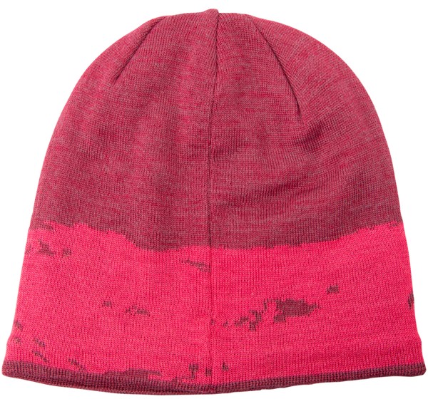 Ski Beanie Ski Beanie
