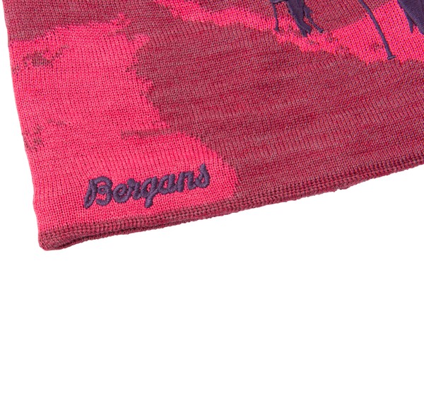 Ski Beanie Ski Beanie