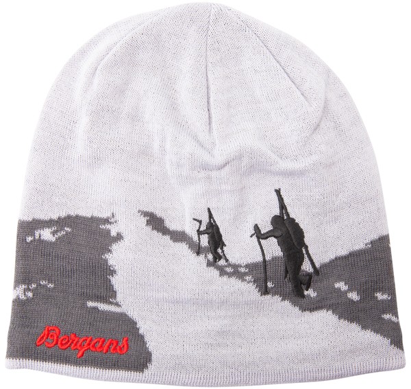 Ski Beanie Ski Beanie