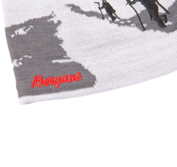 Ski Beanie Ski Beanie
