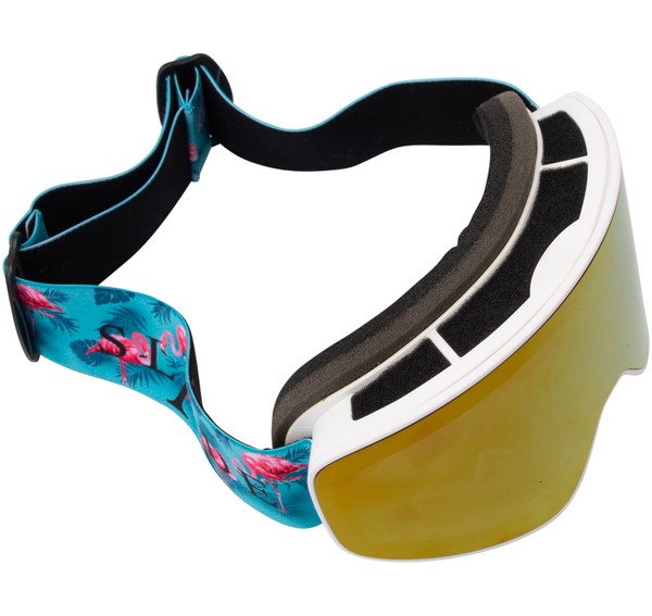 Freeride Magnet Goggles Freeride Magnet Goggles