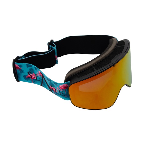 Freeride Magnet Goggles Freeride Magnet Goggles