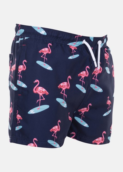 Beachshorts Beachshorts