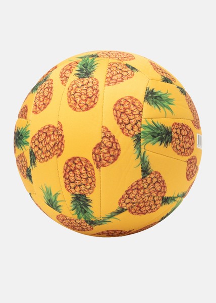 Beach Volleyball Beach Volleyball