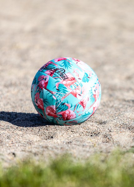 Beach Volleyball Beach Volleyball
