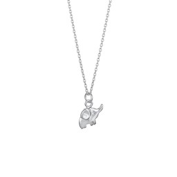 Halsband i äkta silver