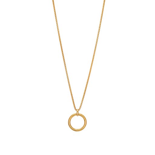Halsband i stål