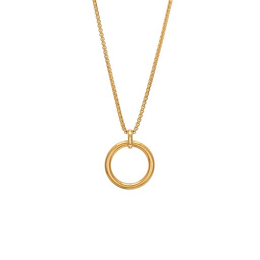 Halsband i stål