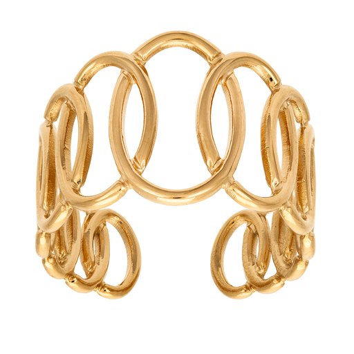 Ring i stål