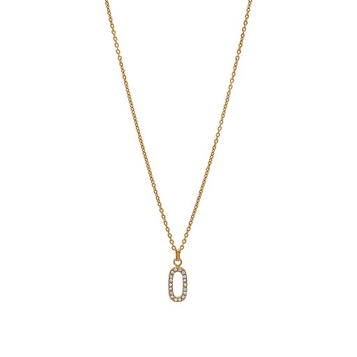 Halsband i stål