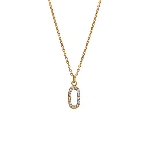 Halsband i stål