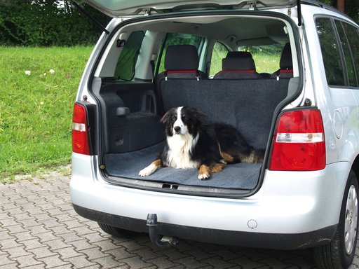 Kofferraum-Schutz f.Hunde