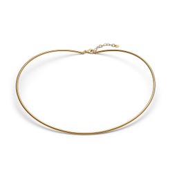 Förgyllt chokerhalsband Förgyllt chokerhalsband