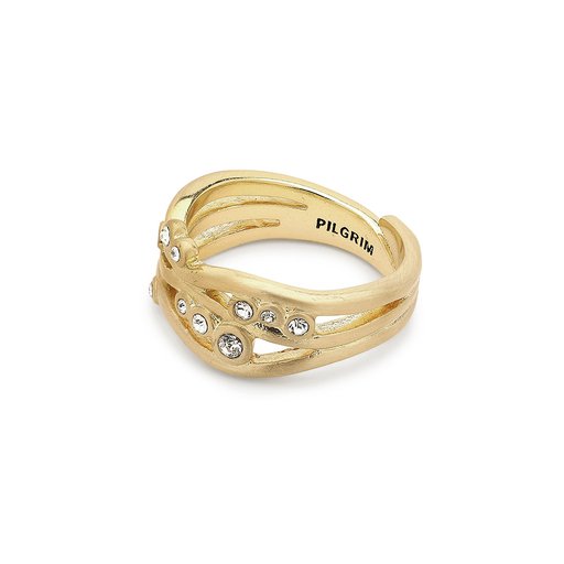 Ring, PILGRIM