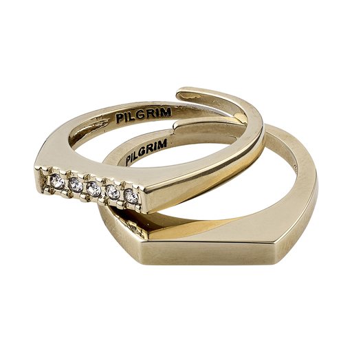 Ring Pilgrim