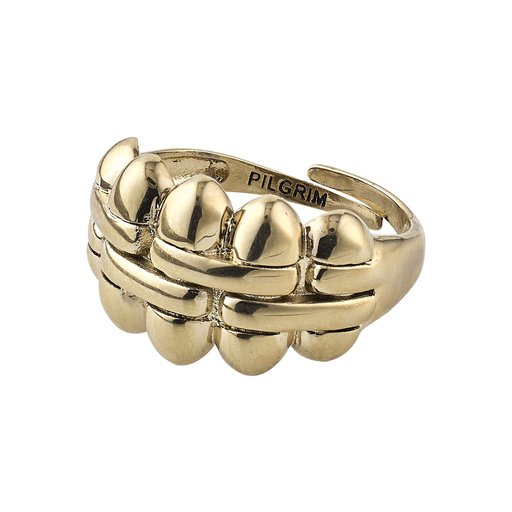 Ring Pilgrim