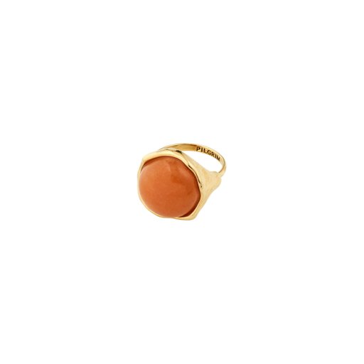 Ring Sense