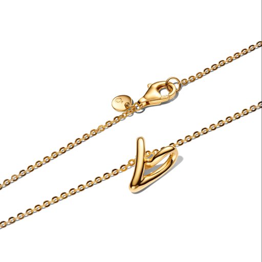 Förgyllt halsband med organiskt hjärta