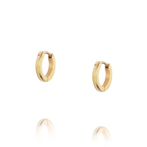 Örhängen Classic Hoops Small