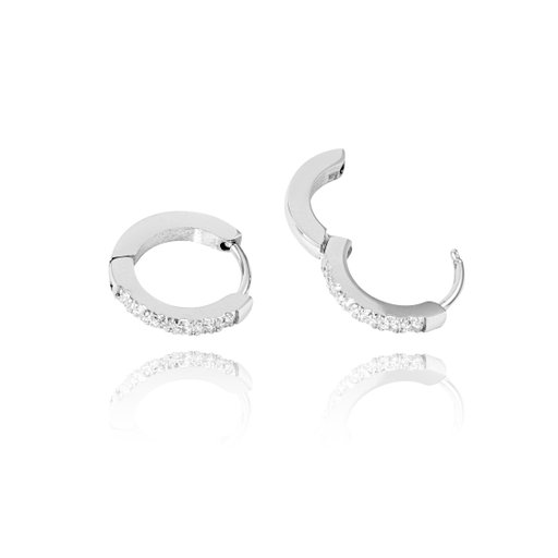 Örhängen Shiny Hoops Small