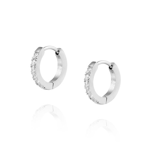 Örhängen Shiny Hoops Small