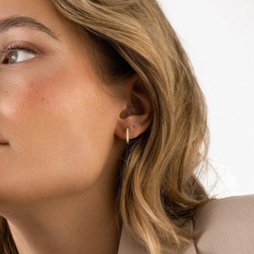 Örhängen Shiny Hoops Small