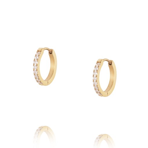 Örhängen Shiny Hoops Medium