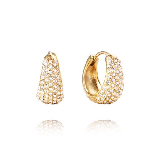 Örhängen Treasure Hoops Medium