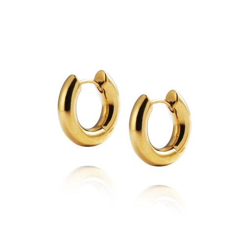 Örhängen Everyday Hoops