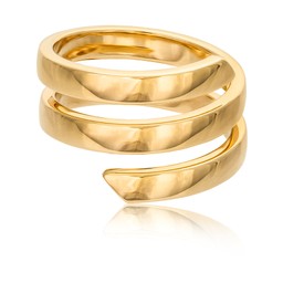 Ring Spiral i 14K guld Ring Spiral i 14K guld