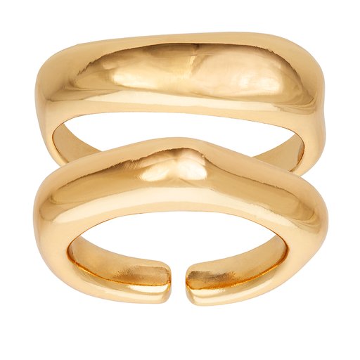 Ring Toni