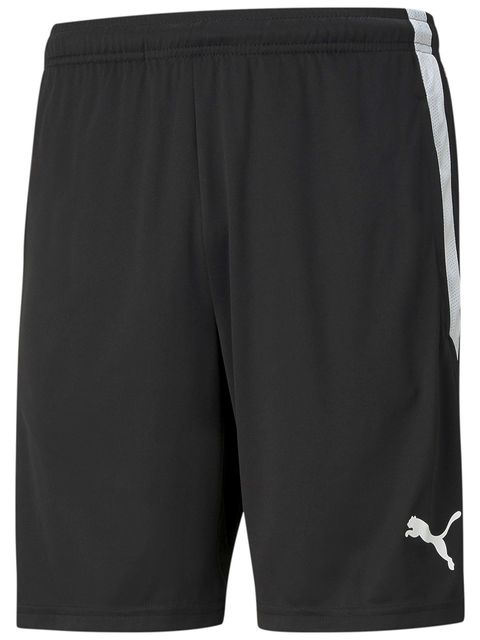 Puma Ledarshorts teamLIGA (Fagerhult Habo IB)