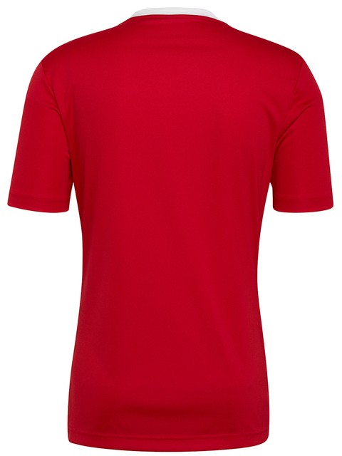 Adidas T-shirt ENTRADA22