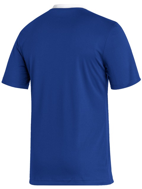 Adidas T-shirt ENTRADA22